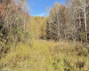 TBD Tenmile Road, Wallace, West Virginia 26448, ,Lots/land,For Sale,Tenmile,10162207