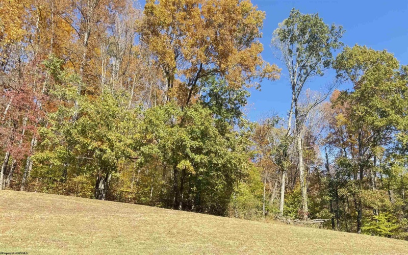 TBD Tenmile Road, Wallace, West Virginia 26448, ,Lots/land,For Sale,Tenmile,10162207