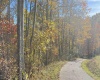 TBD Tenmile Road, Wallace, West Virginia 26448, ,Lots/land,For Sale,Tenmile,10162207