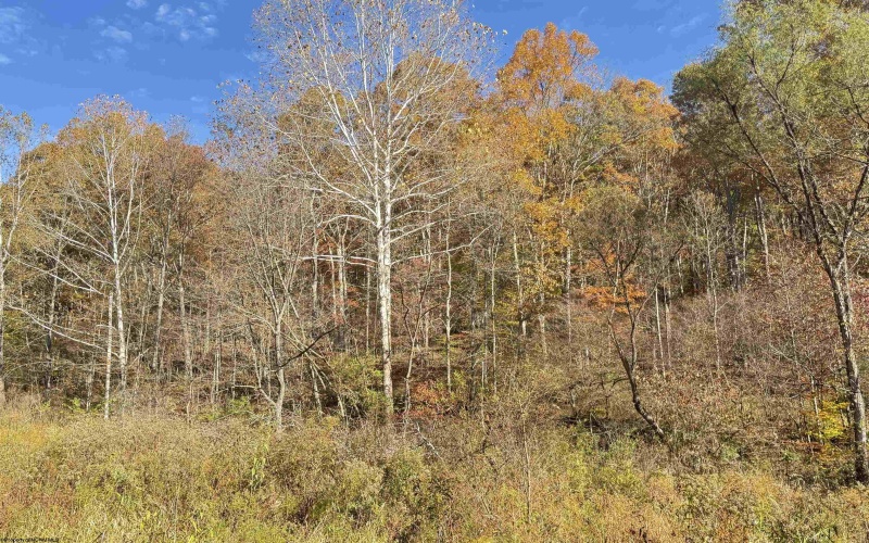 TBD Tenmile Road, Wallace, West Virginia 26448, ,Lots/land,For Sale,Tenmile,10162207