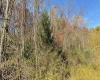 TBD Tenmile Road, Wallace, West Virginia 26448, ,Lots/land,For Sale,Tenmile,10162207