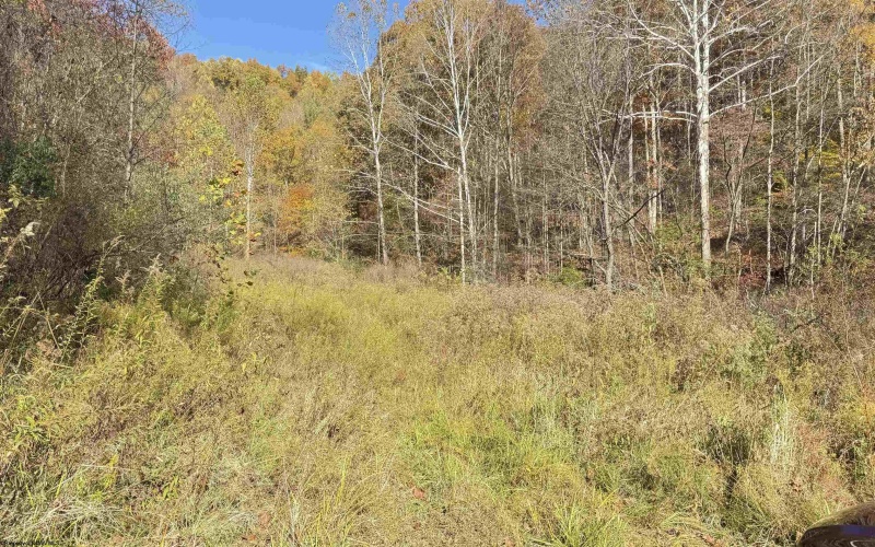 TBD Tenmile Road, Wallace, West Virginia 26448, ,Lots/land,For Sale,Tenmile,10162207