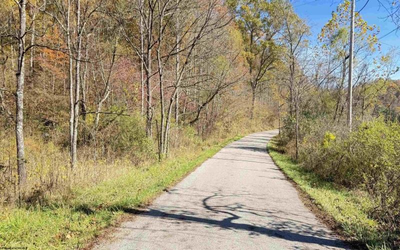 TBD Tenmile Road, Wallace, West Virginia 26448, ,Lots/land,For Sale,Tenmile,10162207