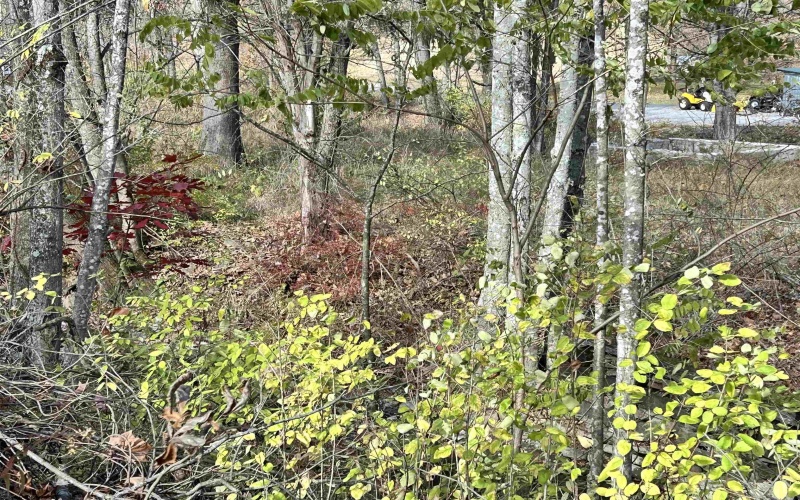 75 Upper Isner Creek Road, Elkins, West Virginia 26241, ,Lots/land,For Sale,Upper Isner Creek,10162208