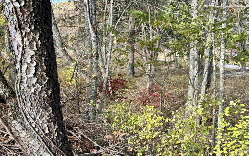 75 Upper Isner Creek Road, Elkins, West Virginia 26241, ,Lots/land,For Sale,Upper Isner Creek,10162208