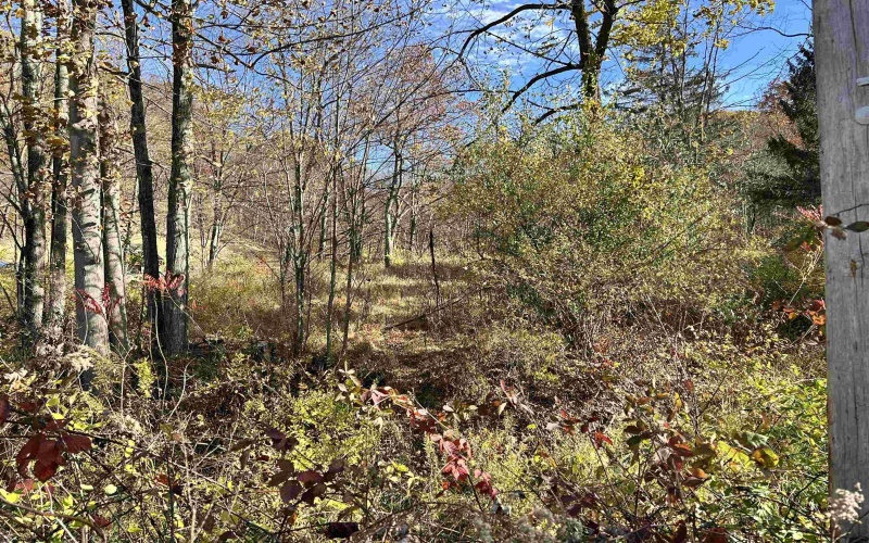 75 Upper Isner Creek Road, Elkins, West Virginia 26241, ,Lots/land,For Sale,Upper Isner Creek,10162208