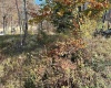 75 Upper Isner Creek Road, Elkins, West Virginia 26241, ,Lots/land,For Sale,Upper Isner Creek,10162208