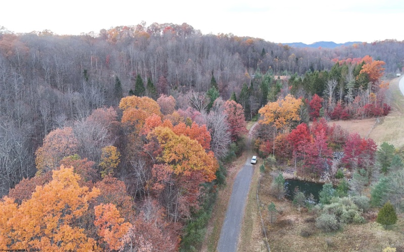 TBD US Route 48 (RR), Elkins, West Virginia 26241, ,Lots/land,For Sale,US Route 48,10162212