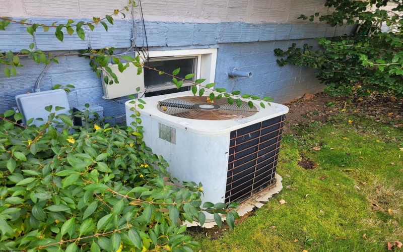 397 Monroe Avenue, Weston, West Virginia 26452, 3 Bedrooms Bedrooms, 6 Rooms Rooms,3 BathroomsBathrooms,Single Family Detached,For Sale,Monroe,10162213 397 Monroe Avenue, Weston, West Virginia 26452, 3 Bedrooms Bedrooms, 6 Rooms Rooms,3 BathroomsBathrooms,Single Family Detached,For Sale,Monroe,10162213