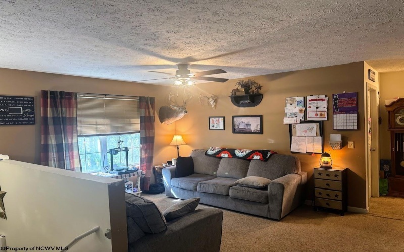 740 Dunkard Mill Road, Farmington, West Virginia 26571, 6 Bedrooms Bedrooms, 10 Rooms Rooms,3 BathroomsBathrooms,Single Family Detached,For Sale,Dunkard Mill,10162205