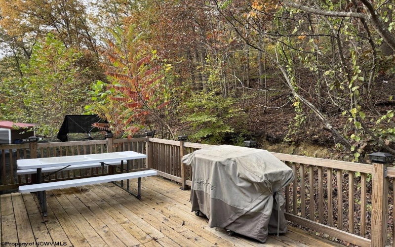 740 Dunkard Mill Road, Farmington, West Virginia 26571, 6 Bedrooms Bedrooms, 10 Rooms Rooms,3 BathroomsBathrooms,Single Family Detached,For Sale,Dunkard Mill,10162205