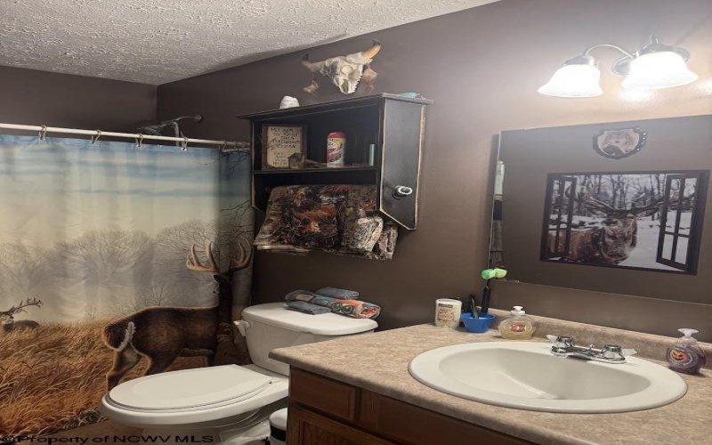 740 Dunkard Mill Road, Farmington, West Virginia 26571, 6 Bedrooms Bedrooms, 10 Rooms Rooms,3 BathroomsBathrooms,Single Family Detached,For Sale,Dunkard Mill,10162205