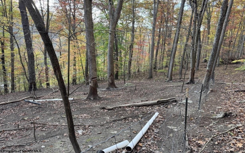 740 Dunkard Mill Road, Farmington, West Virginia 26571, 6 Bedrooms Bedrooms, 10 Rooms Rooms,3 BathroomsBathrooms,Single Family Detached,For Sale,Dunkard Mill,10162205