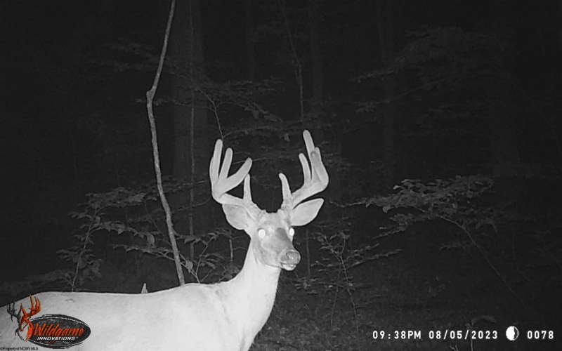 3874 Barkers Ridge Road, Sutton, West Virginia 26601, 3 Bedrooms Bedrooms, 7 Rooms Rooms,1 BathroomBathrooms,Single Family Detached,For Sale,Barkers Ridge,10162219