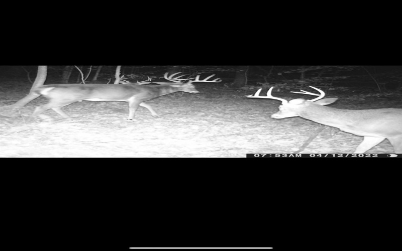 3874 Barkers Ridge Road, Sutton, West Virginia 26601, 3 Bedrooms Bedrooms, 7 Rooms Rooms,1 BathroomBathrooms,Single Family Detached,For Sale,Barkers Ridge,10162219