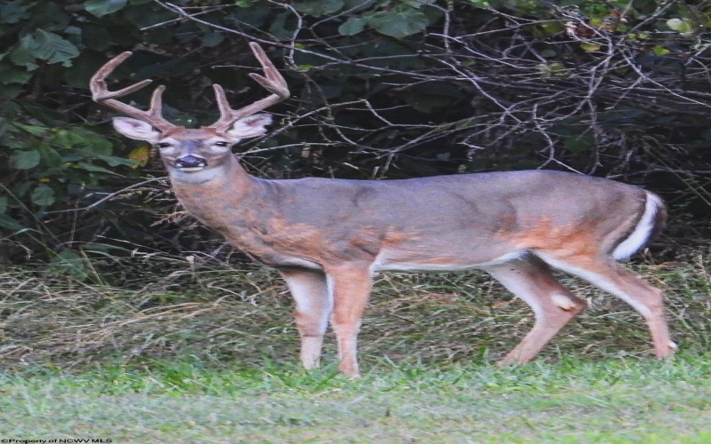 3874 Barkers Ridge Road, Sutton, West Virginia 26601, 3 Bedrooms Bedrooms, 7 Rooms Rooms,1 BathroomBathrooms,Single Family Detached,For Sale,Barkers Ridge,10162219