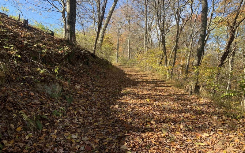 2208 Arden Road, Philippi, West Virginia 26416, ,Lots/land,For Sale,Arden,10162222 2208 Arden Road, Philippi, West Virginia 26416, ,Lots/land,For Sale,Arden,10162222