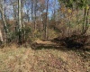2208 Arden Road, Philippi, West Virginia 26416, ,Lots/land,For Sale,Arden,10162222 2208 Arden Road, Philippi, West Virginia 26416, ,Lots/land,For Sale,Arden,10162222