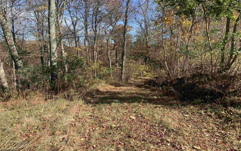 2208 Arden Road, Philippi, West Virginia 26416, ,Lots/land,For Sale,Arden,10162222 2208 Arden Road, Philippi, West Virginia 26416, ,Lots/land,For Sale,Arden,10162222