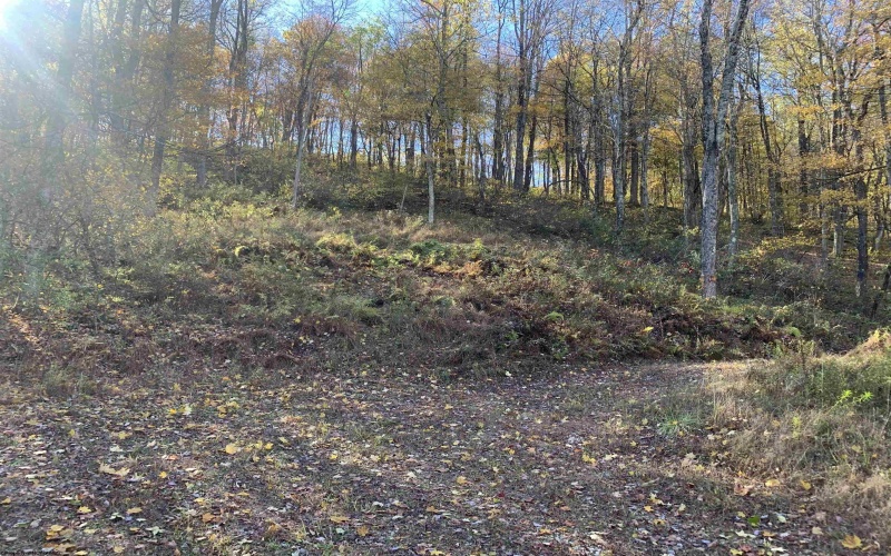 2208 Arden Road, Philippi, West Virginia 26416, ,Lots/land,For Sale,Arden,10162222 2208 Arden Road, Philippi, West Virginia 26416, ,Lots/land,For Sale,Arden,10162222