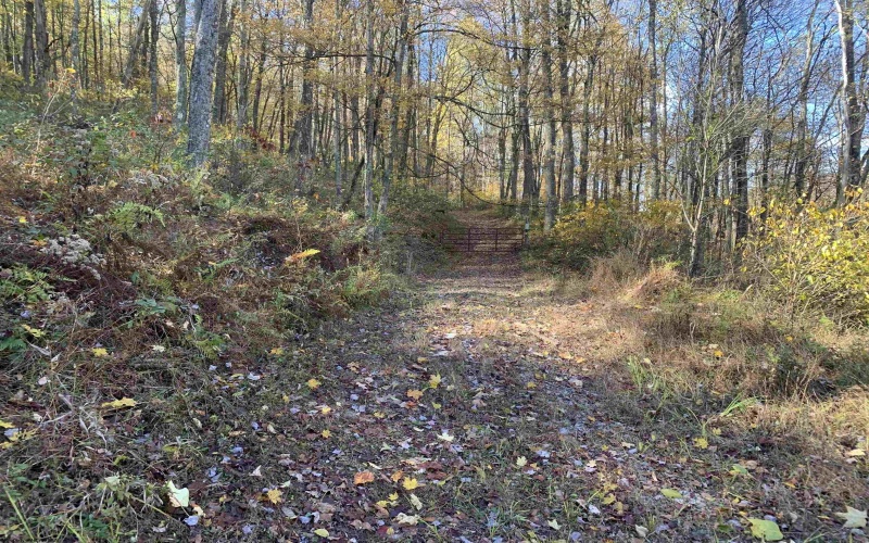 2208 Arden Road, Philippi, West Virginia 26416, ,Lots/land,For Sale,Arden,10162222 2208 Arden Road, Philippi, West Virginia 26416, ,Lots/land,For Sale,Arden,10162222