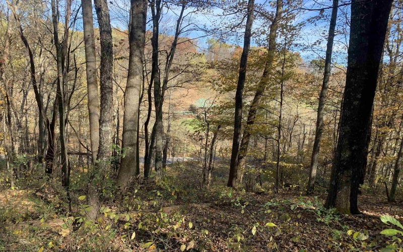 2208 Arden Road, Philippi, West Virginia 26416, ,Lots/land,For Sale,Arden,10162222 2208 Arden Road, Philippi, West Virginia 26416, ,Lots/land,For Sale,Arden,10162222
