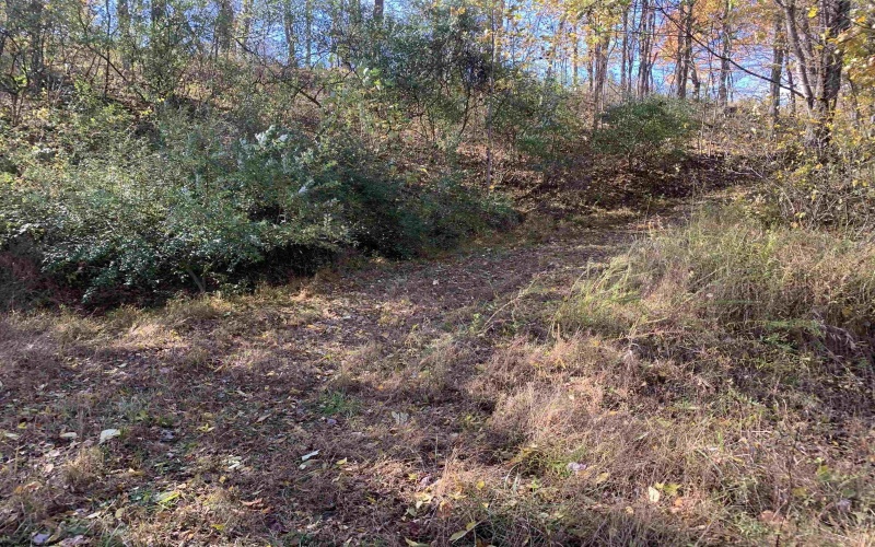 2208 Arden Road, Philippi, West Virginia 26416, ,Lots/land,For Sale,Arden,10162222 2208 Arden Road, Philippi, West Virginia 26416, ,Lots/land,For Sale,Arden,10162222