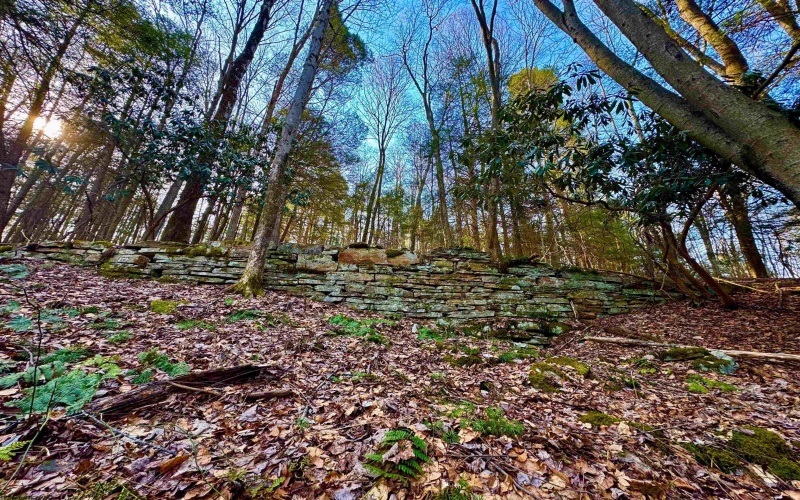 Lot 30 Wild Flower Way, Albright, West Virginia 26519, ,Lots/land,For Sale,Wild Flower,10162232 Lot 30 Wild Flower Way, Albright, West Virginia 26519, ,Lots/land,For Sale,Wild Flower,10162232