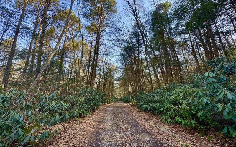 Lot 30 Wild Flower Way, Albright, West Virginia 26519, ,Lots/land,For Sale,Wild Flower,10162232 Lot 30 Wild Flower Way, Albright, West Virginia 26519, ,Lots/land,For Sale,Wild Flower,10162232