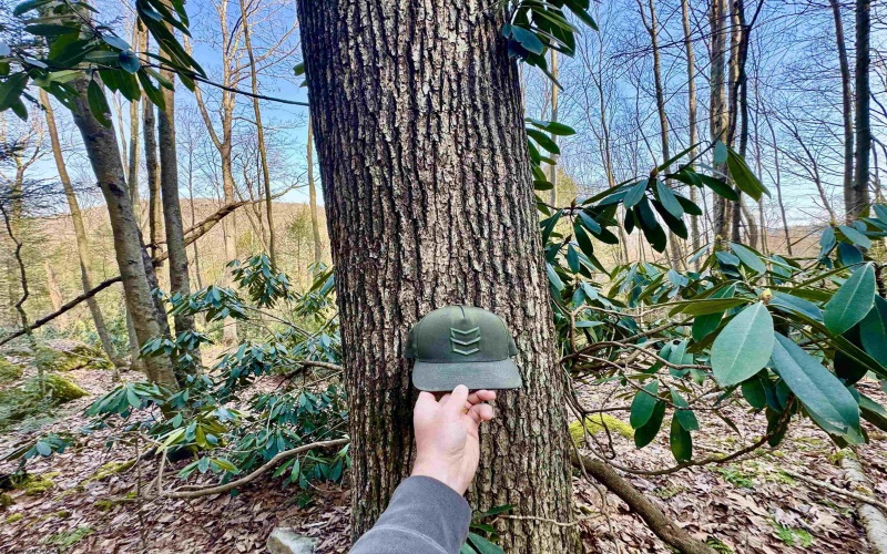 Lot 30 Wild Flower Way, Albright, West Virginia 26519, ,Lots/land,For Sale,Wild Flower,10162232 Lot 30 Wild Flower Way, Albright, West Virginia 26519, ,Lots/land,For Sale,Wild Flower,10162232