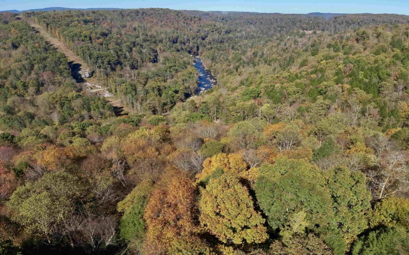 Lot 30 Wild Flower Way, Albright, West Virginia 26519, ,Lots/land,For Sale,Wild Flower,10162232 Lot 30 Wild Flower Way, Albright, West Virginia 26519, ,Lots/land,For Sale,Wild Flower,10162232