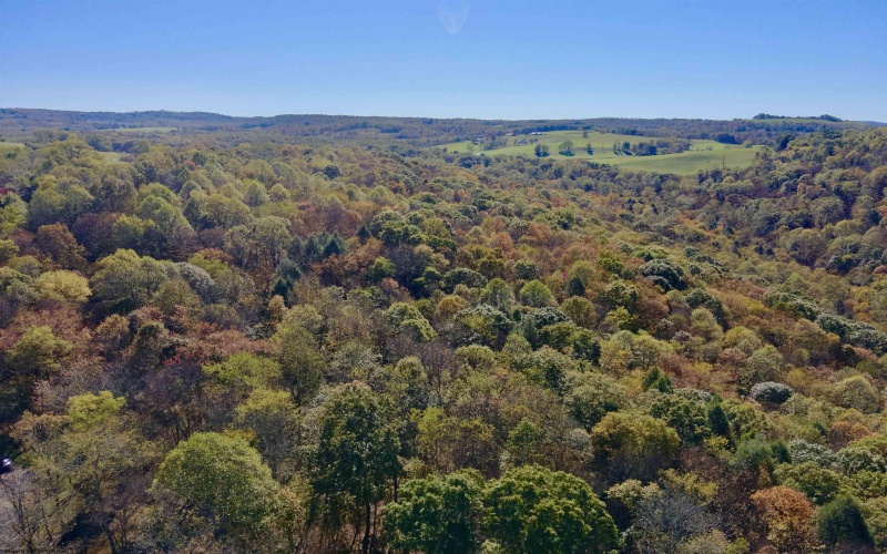 Lot 30 Wild Flower Way, Albright, West Virginia 26519, ,Lots/land,For Sale,Wild Flower,10162232 Lot 30 Wild Flower Way, Albright, West Virginia 26519, ,Lots/land,For Sale,Wild Flower,10162232