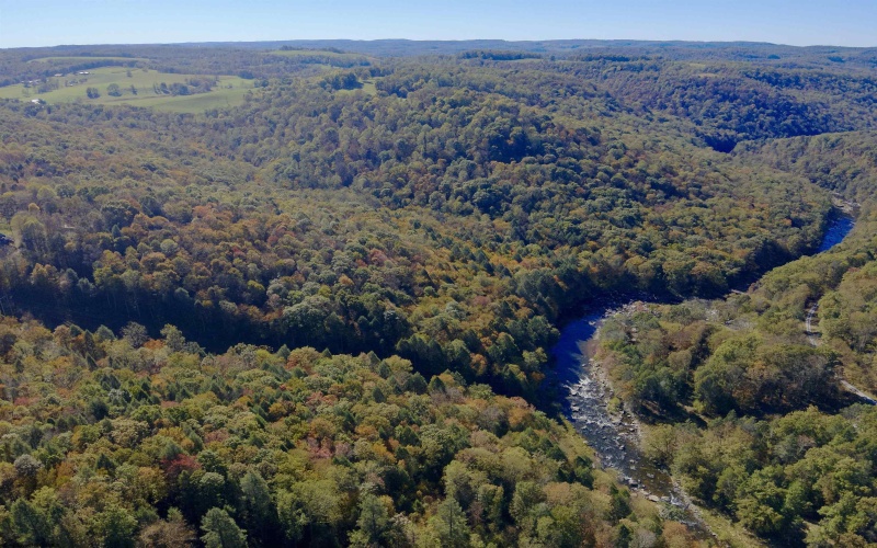 Lot 30 Wild Flower Way, Albright, West Virginia 26519, ,Lots/land,For Sale,Wild Flower,10162232 Lot 30 Wild Flower Way, Albright, West Virginia 26519, ,Lots/land,For Sale,Wild Flower,10162232