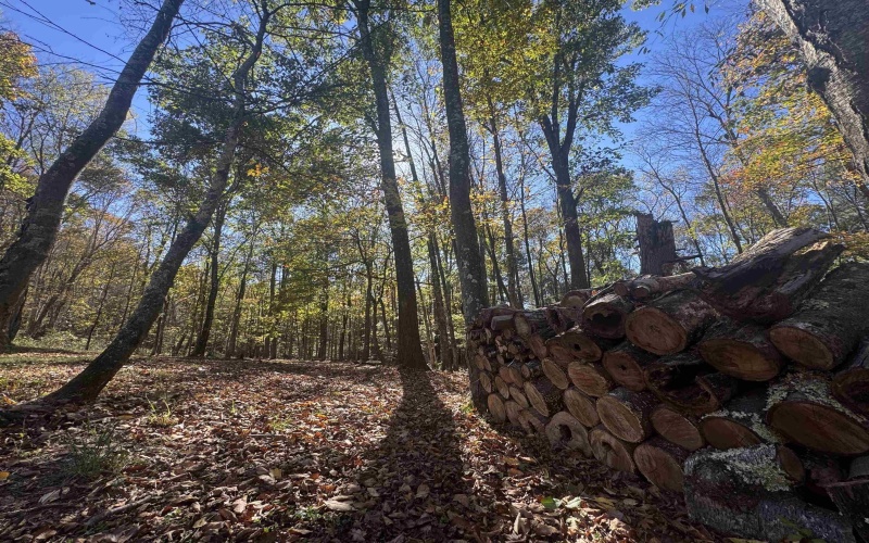 268 Wild Flower Way, Albright, West Virginia 26519, 3 Bedrooms Bedrooms, 8 Rooms Rooms,2 BathroomsBathrooms,Single Family Detached,For Sale,Wild Flower,10162231