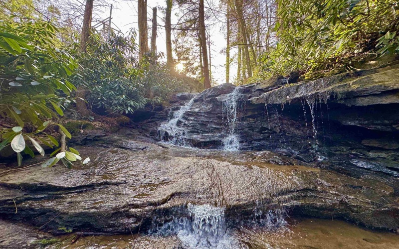 268 Wild Flower Way, Albright, West Virginia 26519, 3 Bedrooms Bedrooms, 8 Rooms Rooms,2 BathroomsBathrooms,Single Family Detached,For Sale,Wild Flower,10162231