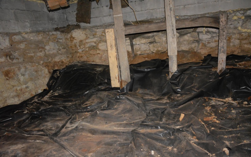 1501 Main Street, Wellsburg, West Virginia 26070, 3 Bedrooms Bedrooms, 6 Rooms Rooms,2 BathroomsBathrooms,Single Family Detached,For Sale,Main,10159710 1501 Main Street, Wellsburg, West Virginia 26070, 3 Bedrooms Bedrooms, 6 Rooms Rooms,2 BathroomsBathrooms,Single Family Detached,For Sale,Main,10159710