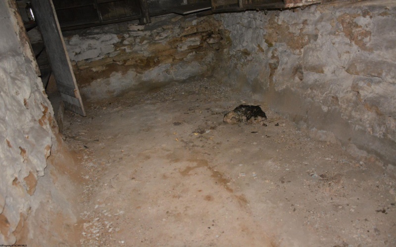 1501 Main Street, Wellsburg, West Virginia 26070, 3 Bedrooms Bedrooms, 6 Rooms Rooms,2 BathroomsBathrooms,Single Family Detached,For Sale,Main,10159710 1501 Main Street, Wellsburg, West Virginia 26070, 3 Bedrooms Bedrooms, 6 Rooms Rooms,2 BathroomsBathrooms,Single Family Detached,For Sale,Main,10159710