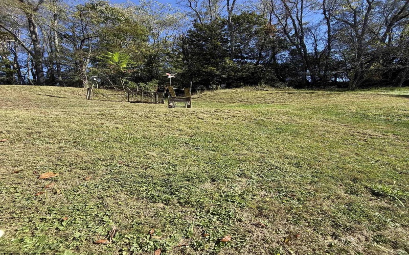 355 George Street, Weston, West Virginia 26452, 3 Bedrooms Bedrooms, 7 Rooms Rooms,1 BathroomBathrooms,Single Family Detached,For Sale,George,10162237