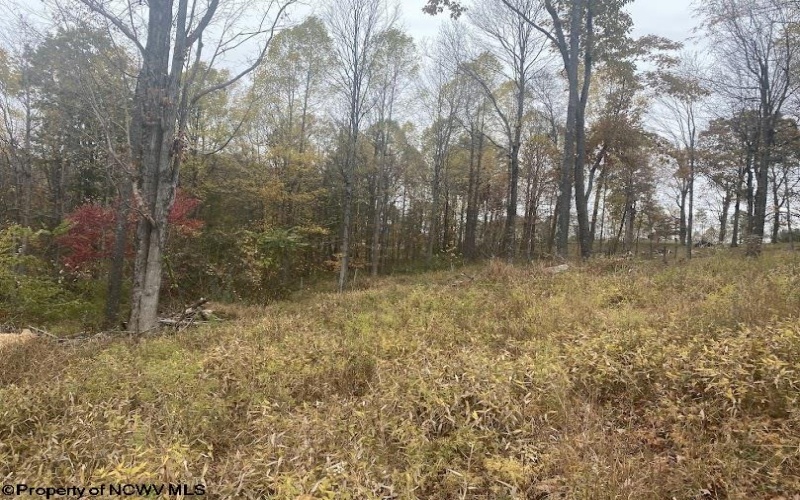 TBD Rocky Lane, Volga, West Virginia 26238, 2 Bedrooms Bedrooms, 4 Rooms Rooms,1 BathroomBathrooms,Single Family Detached,For Sale,Rocky,10162257 TBD Rocky Lane, Volga, West Virginia 26238, 2 Bedrooms Bedrooms, 4 Rooms Rooms,1 BathroomBathrooms,Single Family Detached,For Sale,Rocky,10162257