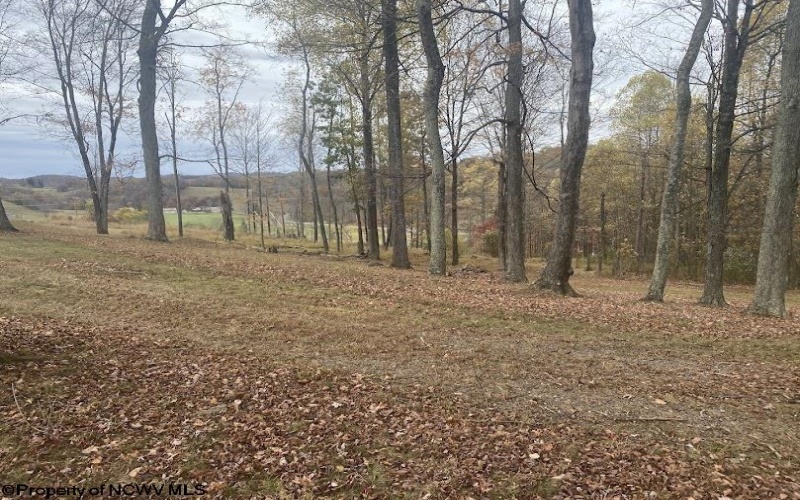 TBD Rocky Lane, Volga, West Virginia 26238, 2 Bedrooms Bedrooms, 4 Rooms Rooms,1 BathroomBathrooms,Single Family Detached,For Sale,Rocky,10162257 TBD Rocky Lane, Volga, West Virginia 26238, 2 Bedrooms Bedrooms, 4 Rooms Rooms,1 BathroomBathrooms,Single Family Detached,For Sale,Rocky,10162257