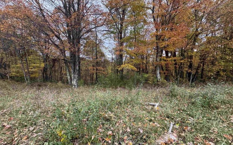TBD ROHR Road, Masontown, West Virginia 26542, ,Lots/land,For Sale,ROHR,10162255 TBD ROHR Road, Masontown, West Virginia 26542, ,Lots/land,For Sale,ROHR,10162255