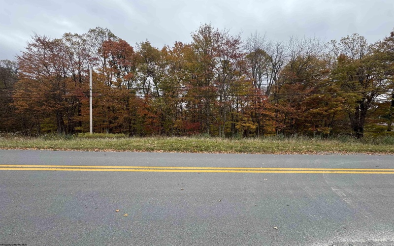 TBD ROHR Road, Masontown, West Virginia 26542, ,Lots/land,For Sale,ROHR,10162255 TBD ROHR Road, Masontown, West Virginia 26542, ,Lots/land,For Sale,ROHR,10162255