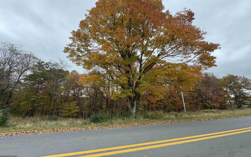 TBD ROHR Road, Masontown, West Virginia 26542, ,Lots/land,For Sale,ROHR,10162255 TBD ROHR Road, Masontown, West Virginia 26542, ,Lots/land,For Sale,ROHR,10162255