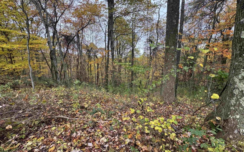 TBD ROHR Road, Masontown, West Virginia 26542, ,Lots/land,For Sale,ROHR,10162255 TBD ROHR Road, Masontown, West Virginia 26542, ,Lots/land,For Sale,ROHR,10162255