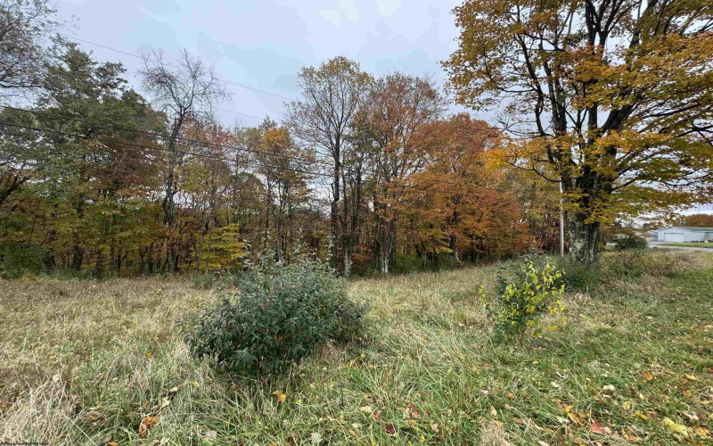TBD ROHR Road, Masontown, West Virginia 26542, ,Lots/land,For Sale,ROHR,10162255 TBD ROHR Road, Masontown, West Virginia 26542, ,Lots/land,For Sale,ROHR,10162255