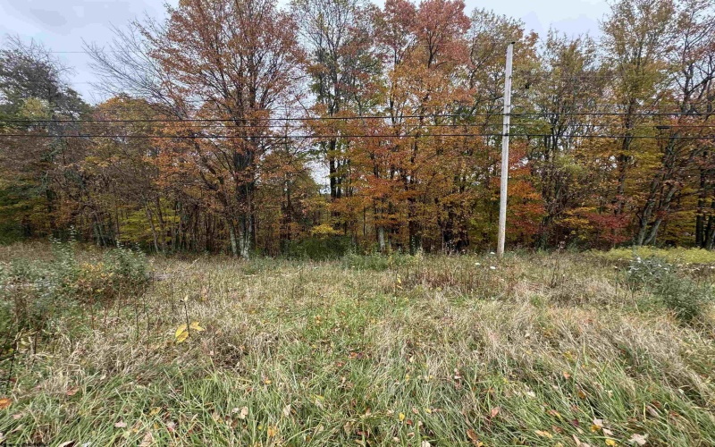 TBD ROHR Road, Masontown, West Virginia 26542, ,Lots/land,For Sale,ROHR,10162255 TBD ROHR Road, Masontown, West Virginia 26542, ,Lots/land,For Sale,ROHR,10162255