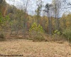 TBD Third Run Road, Glenville, West Virginia 26342, ,Lots/land,For Sale,Third Run,10162252