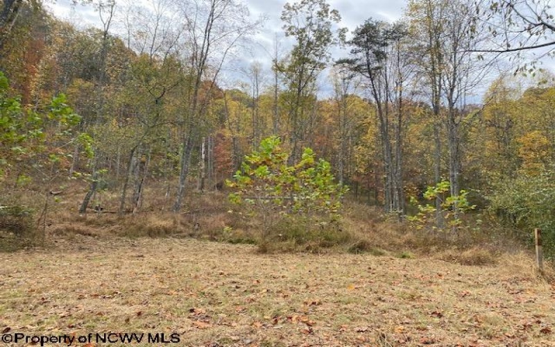 TBD Third Run Road, Glenville, West Virginia 26342, ,Lots/land,For Sale,Third Run,10162252