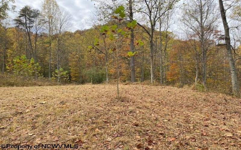 TBD Third Run Road, Glenville, West Virginia 26342, ,Lots/land,For Sale,Third Run,10162252