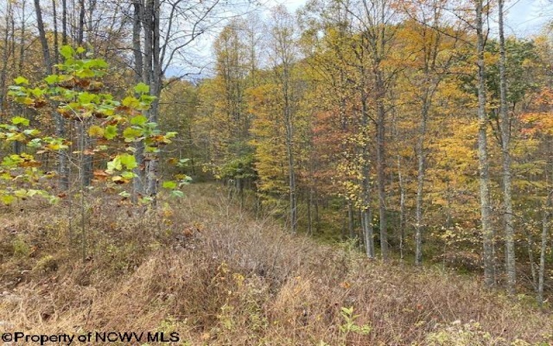 TBD Third Run Road, Glenville, West Virginia 26342, ,Lots/land,For Sale,Third Run,10162252